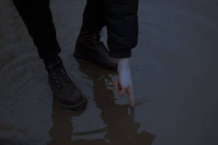 -میرمحمدی '◡'